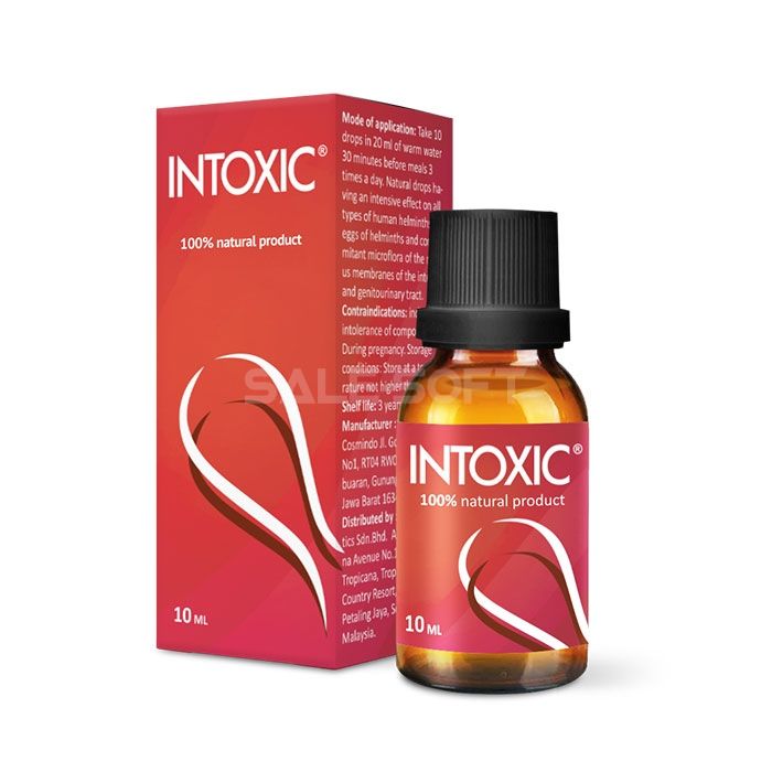 Intoxic 💊 საქართველოში