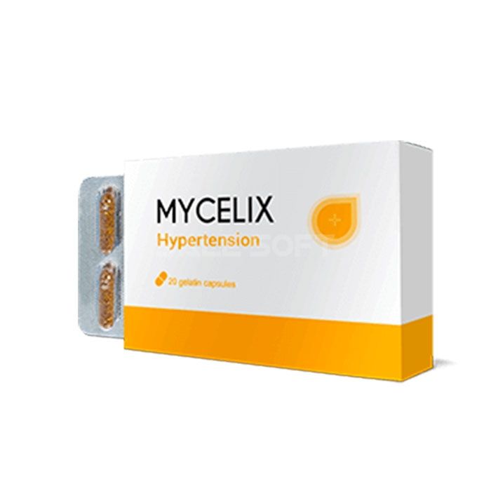 Mycelix 💊 En Italie